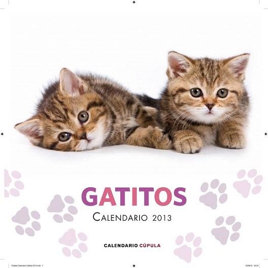 Calendario Gatitos 2013 | 9788448006648 | AA. VV. | Llibres Parcir | Llibreria Parcir | Llibreria online de Manresa | Comprar llibres en català i castellà online