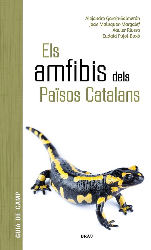ELS AMFIBIS DELS PAÏSOS CATALANS | 9788418096341 | GARCÍA SALMERÓN, ALEJANDRO/MALUQUER MARGALEF, JOAN/RIVERA MULA, XAVIER/PUJOL BUXÓ, EUDALD | Llibres Parcir | Llibreria Parcir | Llibreria online de Manresa | Comprar llibres en català i castellà online