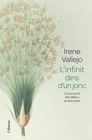L'INFINIT DINS D'UN JONC | 9788466426947 | VALLEJO, IRENE | Llibres Parcir | Llibreria Parcir | Llibreria online de Manresa | Comprar llibres en català i castellà online