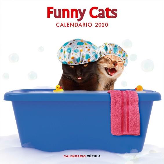 CALENDARIO FUNNY CATS 2020 | 9788448026141 | AA. VV. | Llibres Parcir | Llibreria Parcir | Llibreria online de Manresa | Comprar llibres en català i castellà online