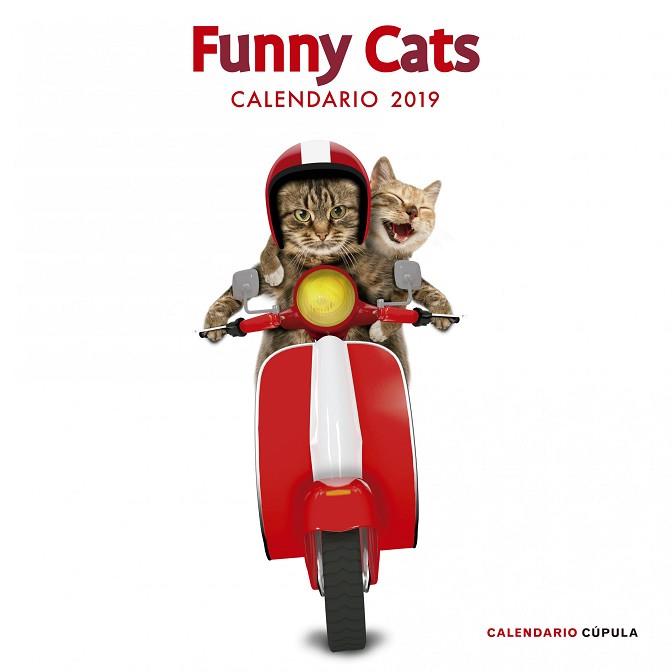CALENDARIO FUNNY CATS 2019 | 9788448024628 | AA. VV. | Llibres Parcir | Llibreria Parcir | Llibreria online de Manresa | Comprar llibres en català i castellà online