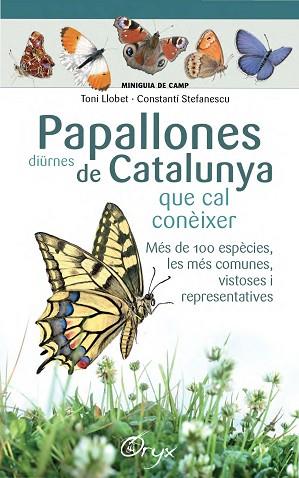 PAPALLONES DIüRNES DE CATALUNYA | 9788490346754 | LLOBET FRANçOIS, TONI/STEFANESCU, CONSTANTí | Llibres Parcir | Llibreria Parcir | Llibreria online de Manresa | Comprar llibres en català i castellà online