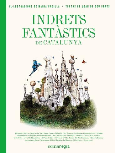 INDRETS FANTÀSTICS DE CATALUNYA | 9788417188986 | PRATS PIJOAN, JOAN DE DÉU/PADILLA CLIMENT, MARIA | Llibres Parcir | Llibreria Parcir | Llibreria online de Manresa | Comprar llibres en català i castellà online