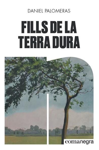 FILLS DE LA TERRA DURA | 9788418022296 | PALOMERAS CASADEJÚS, DANIEL | Llibres Parcir | Llibreria Parcir | Llibreria online de Manresa | Comprar llibres en català i castellà online