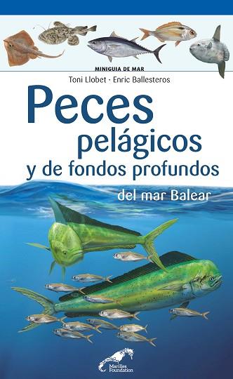 PECES PELÁGICOS Y DE FONDOS PROFUNDOS DEL MAR BALEAR | 9788490349571 | LLOBET FRANÇOIS, TONI / BALLESTEROS SAGARRA, ENRIC | Llibres Parcir | Llibreria Parcir | Llibreria online de Manresa | Comprar llibres en català i castellà online