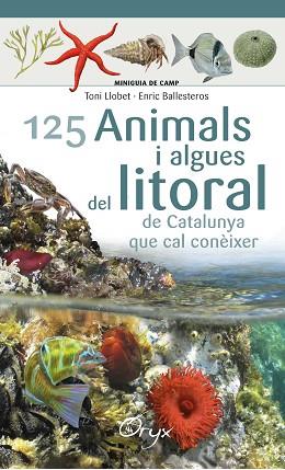 125 ANIMALS I ALGUES DEL LITORAL DE CATALUNYA | 9788490347416 | BALLESTEROS SAGARRA, ENRIC | Llibres Parcir | Llibreria Parcir | Llibreria online de Manresa | Comprar llibres en català i castellà online