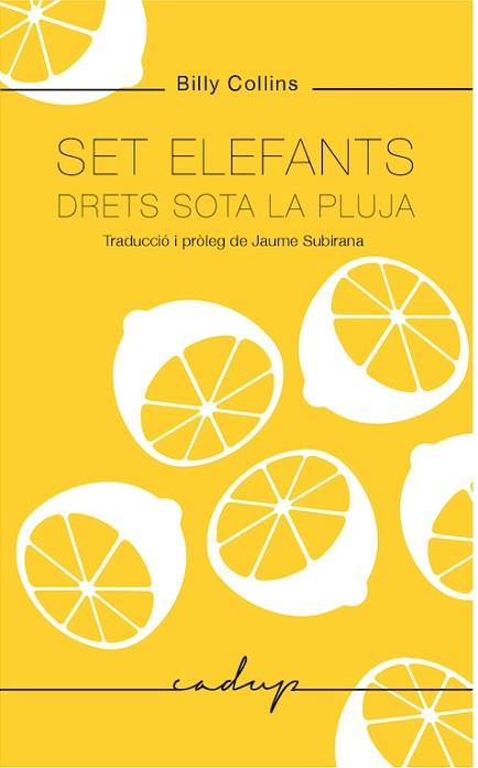 SET ELEFANTS DRETS SOTA LA PLUJA | 9788494943218 | COLLINS, BILLY | Llibres Parcir | Llibreria Parcir | Llibreria online de Manresa | Comprar llibres en català i castellà online