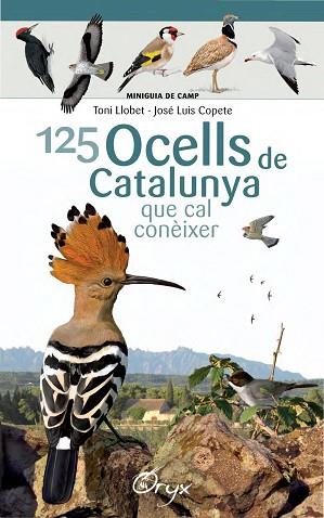 125 OCELLS DE CATALUNYA | 9788490346747 | LLOBET FRANçOIS, TONI/COPETE, JOSé LUIS | Llibres Parcir | Llibreria Parcir | Llibreria online de Manresa | Comprar llibres en català i castellà online