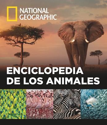 ENCICLOPEDIA DE LOS ANIMALES | 9788482986432 | VARIOS AUTORES | Llibres Parcir | Llibreria Parcir | Llibreria online de Manresa | Comprar llibres en català i castellà online