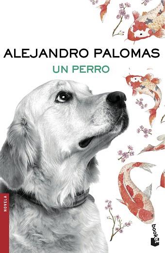 UN PERRO | 9788423351862 | ALEJANDRO PALOMAS | Llibres Parcir | Llibreria Parcir | Llibreria online de Manresa | Comprar llibres en català i castellà online