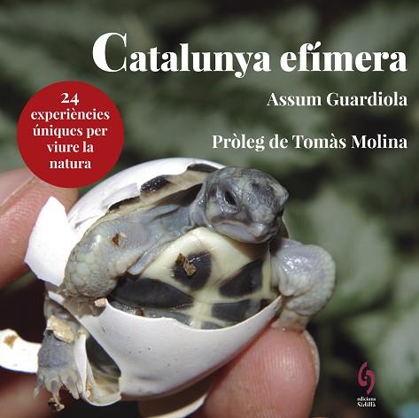 CATALUNYA EFÍMERA | 9788494928147 | GUARDIOLA, ASSUM | Llibres Parcir | Llibreria Parcir | Llibreria online de Manresa | Comprar llibres en català i castellà online