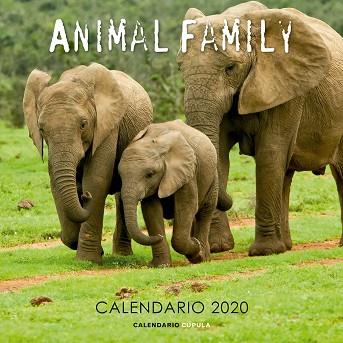 CALENDARIO ANIMAL FAMILY 2020 | 9788448026189 | AA. VV. | Llibres Parcir | Llibreria Parcir | Llibreria online de Manresa | Comprar llibres en català i castellà online
