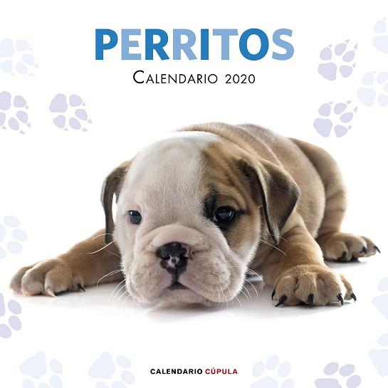 CALENDARIO PERRITOS 2020 | 9788448026158 | AA. VV. | Llibres Parcir | Llibreria Parcir | Llibreria online de Manresa | Comprar llibres en català i castellà online