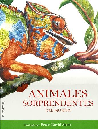 ANIMALES SORPRENDENTES DEL MUNDO | 9788426138705 | PETER DAVID SCOTT | Llibres Parcir | Llibreria Parcir | Llibreria online de Manresa | Comprar llibres en català i castellà online
