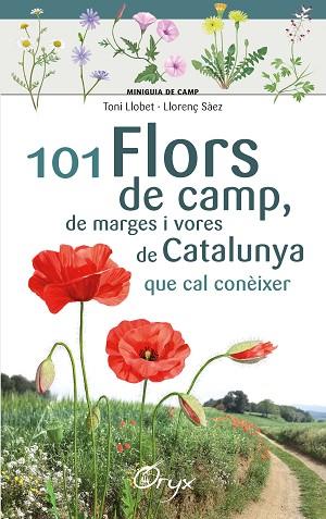 101 FLORS DE CAMP, DE MARGES I VORES DE CATALUNYA | 9788490348413 | LLOBET FRANÇOIS , TONI / SÀEZ GOÑALONS , LLORENÇ | Llibres Parcir | Llibreria Parcir | Llibreria online de Manresa | Comprar llibres en català i castellà online