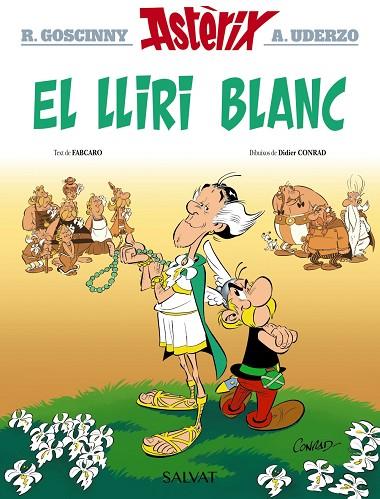 EL LLIRI BLANC | 9788469640418 | GOSCINNY, RENÉ/FABCARO | Llibres Parcir | Llibreria Parcir | Llibreria online de Manresa | Comprar llibres en català i castellà online