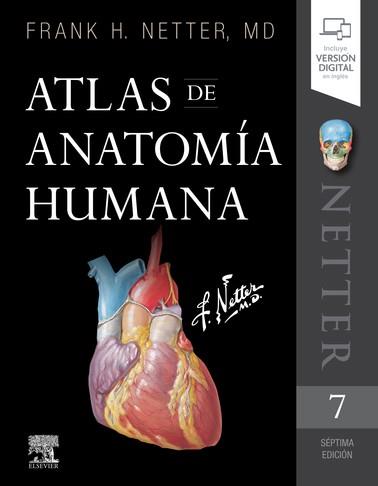ATLAS DE ANATOMÍA HUMANA (7ª ED.) | 9788491134688 | NETTER, FRANK H. | Llibres Parcir | Llibreria Parcir | Llibreria online de Manresa | Comprar llibres en català i castellà online