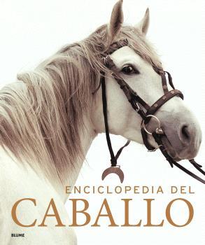 ENCICLOPEDIA DEL CABALLO (2023) | 9788419785749 | VARIOS AUTORES | Llibres Parcir | Llibreria Parcir | Llibreria online de Manresa | Comprar llibres en català i castellà online
