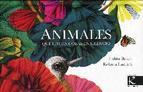 ANIMALES QUE HACEN COSAS EN SILENCIO | 9788415250937 | VV.AA. | Llibres Parcir | Llibreria Parcir | Llibreria online de Manresa | Comprar llibres en català i castellà online