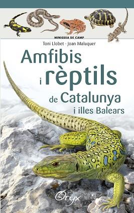AMFIBIS I REPTILS DE CATALUNYA | 9788490346792 | LLOBET, TONI/ MALUQUER, JOAN | Llibres Parcir | Llibreria Parcir | Llibreria online de Manresa | Comprar llibres en català i castellà online