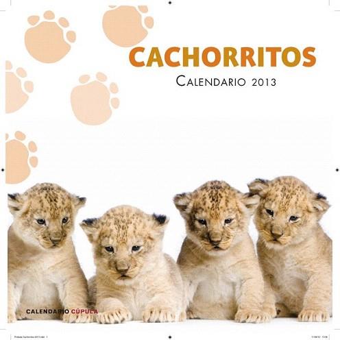 Calendario Cachorritos 2013 | 9788448006655 | AA. VV. | Llibres Parcir | Llibreria Parcir | Llibreria online de Manresa | Comprar llibres en català i castellà online