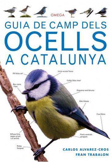 GUIA DE CAMP DELS OCELLS A CATALUNYA | 9788428216562 | CARLOS ALVAREZ-CROS & FRAN TRABALON | Llibres Parcir | Llibreria Parcir | Llibreria online de Manresa | Comprar llibres en català i castellà online