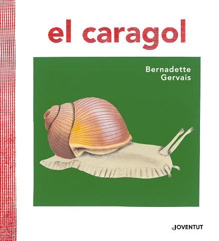 EL CARAGOL | 9788426145680 | GERVAIS, BERNADETTE/TORNERO BRUGUÉS, SUSANA | Llibres Parcir | Llibreria Parcir | Llibreria online de Manresa | Comprar llibres en català i castellà online