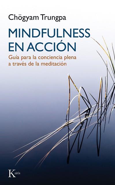 MINDFULNESS EN ACCIÓN | 9788499884899 | TRUNGPA, CHÖGYAM | Llibres Parcir | Llibreria Parcir | Llibreria online de Manresa | Comprar llibres en català i castellà online