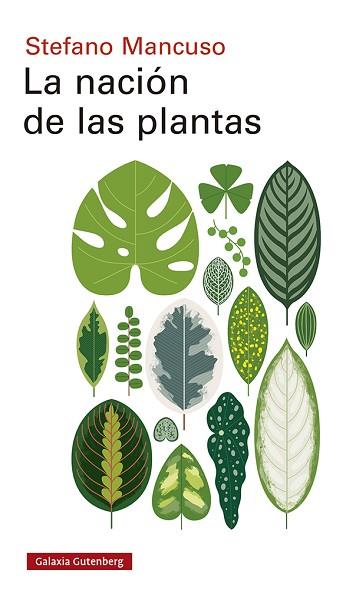LA NACIÓN DE LAS PLANTAS | 9788417971557 | MANCUSO, STEFANO | Llibres Parcir | Llibreria Parcir | Llibreria online de Manresa | Comprar llibres en català i castellà online