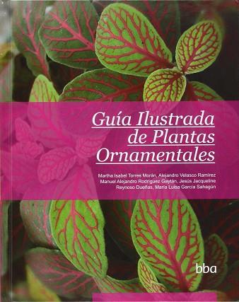 GUIA ILUSTRADA DE PLANTAS ORNAMENTALES | 9786077150909 | TORRES MORÁN, MARTHA ISABEL / VELASCO RAMIREZ, ALEJANDRO / RODRIGUEZ GAYTÁN, MANUEL A. | Llibres Parcir | Llibreria Parcir | Llibreria online de Manresa | Comprar llibres en català i castellà online