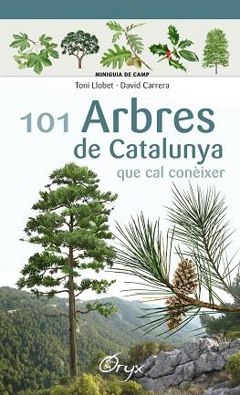 101 ARBRES DE CATALUNYA | 9788490346778 | LLOBET FRANçOIS, TONI/CARRERA BONET, DAVID | Llibres Parcir | Llibreria Parcir | Llibreria online de Manresa | Comprar llibres en català i castellà online