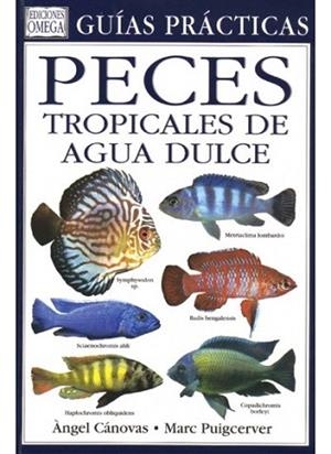 GUIAS PRACTICAS PECES TROPICALES DE AGUA DULCE | 9788428212076 | CANOVAS | Llibres Parcir | Llibreria Parcir | Llibreria online de Manresa | Comprar llibres en català i castellà online