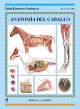 ANATOMIA DEL CABALLO | 9788425515736 | COLLES CHRIS DR | Llibres Parcir | Llibreria Parcir | Llibreria online de Manresa | Comprar llibres en català i castellà online