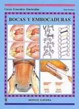 BOCAS EMBOCADURAS GUIA ECUESTRE | 9788425510632 | WEBBER | Llibres Parcir | Librería Parcir | Librería online de Manresa | Comprar libros en catalán y castellano online