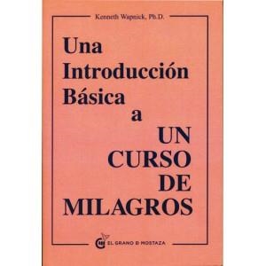 UNA INTRODUCCION BASICA A UN CURSO DE MILAGROS | 9788493727420 | KENNETH WAPNICK | Llibres Parcir | Llibreria Parcir | Llibreria online de Manresa | Comprar llibres en català i castellà online