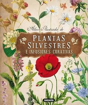 ATLAS ILUSTRADO DE PLANTAS SILVESTRES E INFUSIONES CURATIVAS | 9788467722864 | TOMANOVÁ, ELISKA | Llibres Parcir | Llibreria Parcir | Llibreria online de Manresa | Comprar llibres en català i castellà online