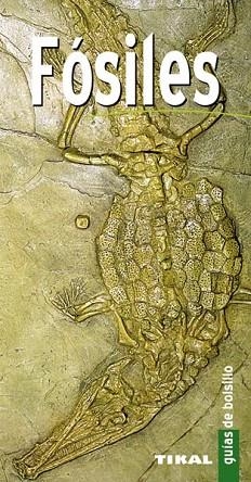 FOSILES GUIAS DE BOLSILLO | 9788499281100 | VARIOS AUTORES | Llibres Parcir | Llibreria Parcir | Llibreria online de Manresa | Comprar llibres en català i castellà online