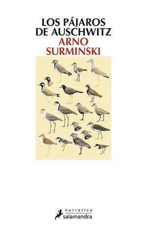 PÁJAROS DE AUSCHWITZ, LOS | 9788498384987 | Surminski, Arno | Llibres Parcir | Llibreria Parcir | Llibreria online de Manresa | Comprar llibres en català i castellà online