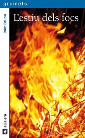 L'ESTIU DELS FOCS | 9788424635817 | BRUNA, JOAN | Llibres Parcir | Llibreria Parcir | Llibreria online de Manresa | Comprar llibres en català i castellà online