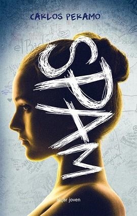 SPAM | 9788498456936 | PERAMO ALCAY, CARLOS | Llibres Parcir | Librería Parcir | Librería online de Manresa | Comprar libros en catalán y castellano online