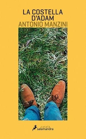 LA COSTELLA D'ADAM | 9788416310128 | MANZINI, ANTONIO | Llibres Parcir | Llibreria Parcir | Llibreria online de Manresa | Comprar llibres en català i castellà online