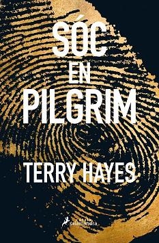 SÓC EN PILGRIM | 9788416310159 | HAYES, TERRY | Llibres Parcir | Llibreria Parcir | Llibreria online de Manresa | Comprar llibres en català i castellà online