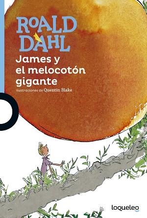 JAMES Y EL MELOCOTÓN GIGANTE | 9788491221296 | DAHL, ROALD | Llibres Parcir | Librería Parcir | Librería online de Manresa | Comprar libros en catalán y castellano online