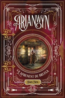 ARIANWYN 1. L' APRENENT DE BRUIXA | 9788424658694 | NICOL, JAMES | Llibres Parcir | Llibreria Parcir | Llibreria online de Manresa | Comprar llibres en català i castellà online
