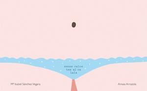 SENSE CALCETES AL CALAIX | 9788416670031 | SÁNCHEZ VEGARA, MARÍA ISABEL | Llibres Parcir | Librería Parcir | Librería online de Manresa | Comprar libros en catalán y castellano online