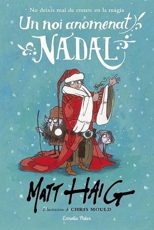 UN NOI ANOMENAT NADAL | 9788491371199 | MATT HAIG/CHRIS MOULD | Llibres Parcir | Llibreria Parcir | Llibreria online de Manresa | Comprar llibres en català i castellà online