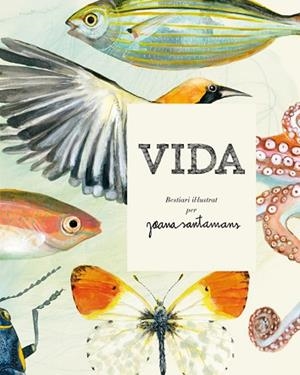 VIDA. BESTIARI IL·LUSTRAT PER JOANA SANTAMANS | 9788416670000 | SANTAMANS, JOANA | Llibres Parcir | Librería Parcir | Librería online de Manresa | Comprar libros en catalán y castellano online