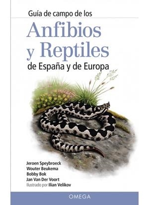 ANFIBIOS Y REPTILES DE ESPAÑA Y DE EUROPA | 9788428216647 | SPEYBROECK, JEROEN/BEUKEMA, WOUTER/BOK, BOBBY/VAN DER VOORT, JAN | Llibres Parcir | Librería Parcir | Librería online de Manresa | Comprar libros en catalán y castellano online