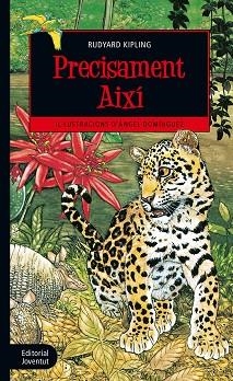 PRECISAMENT AIXÍ | 9788426144539 | KIPLING, RUDYARD | Llibres Parcir | Llibreria Parcir | Llibreria online de Manresa | Comprar llibres en català i castellà online