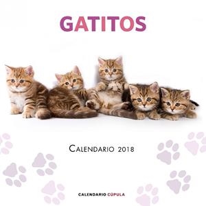 CALENDARIO GATITOS 2018 | 9788448023454 | AA. VV. | Llibres Parcir | Librería Parcir | Librería online de Manresa | Comprar libros en catalán y castellano online